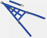 Src window net blue  Rc Drift, Asbo Rc